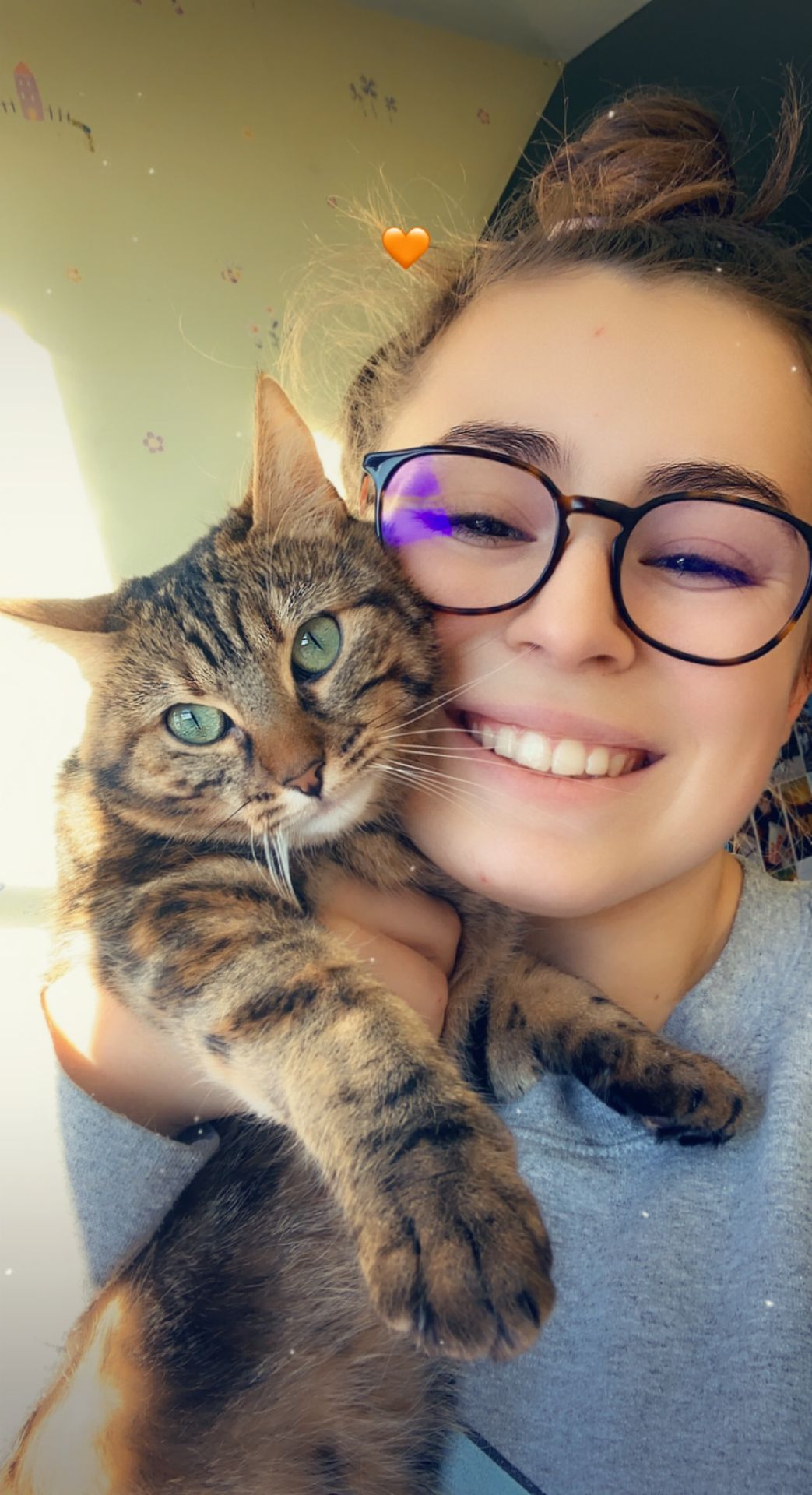 Chloé avec un chat tigré